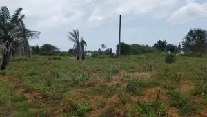 Volta Region (Juapong) _ 15 Plots of Building Land