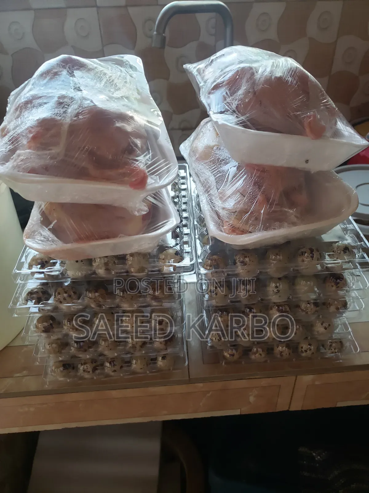 Quail Butchered and 4 Weeks Old Live Birds
