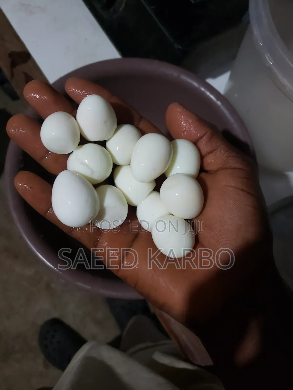 Quail Eggs