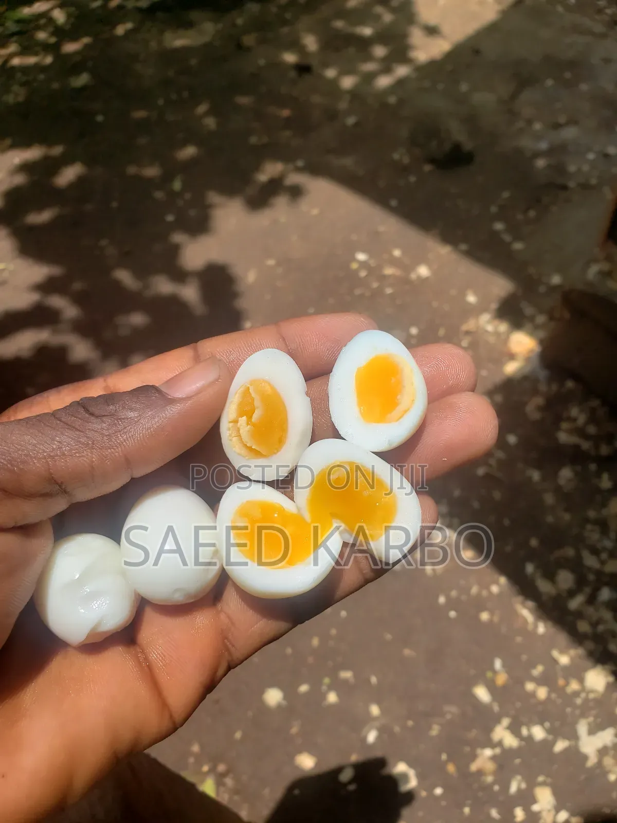 Quail Eggs