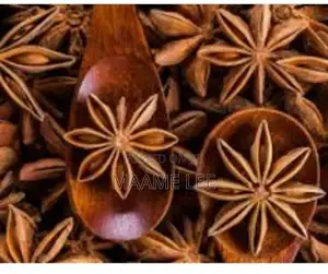 Star Anise Seed 120g