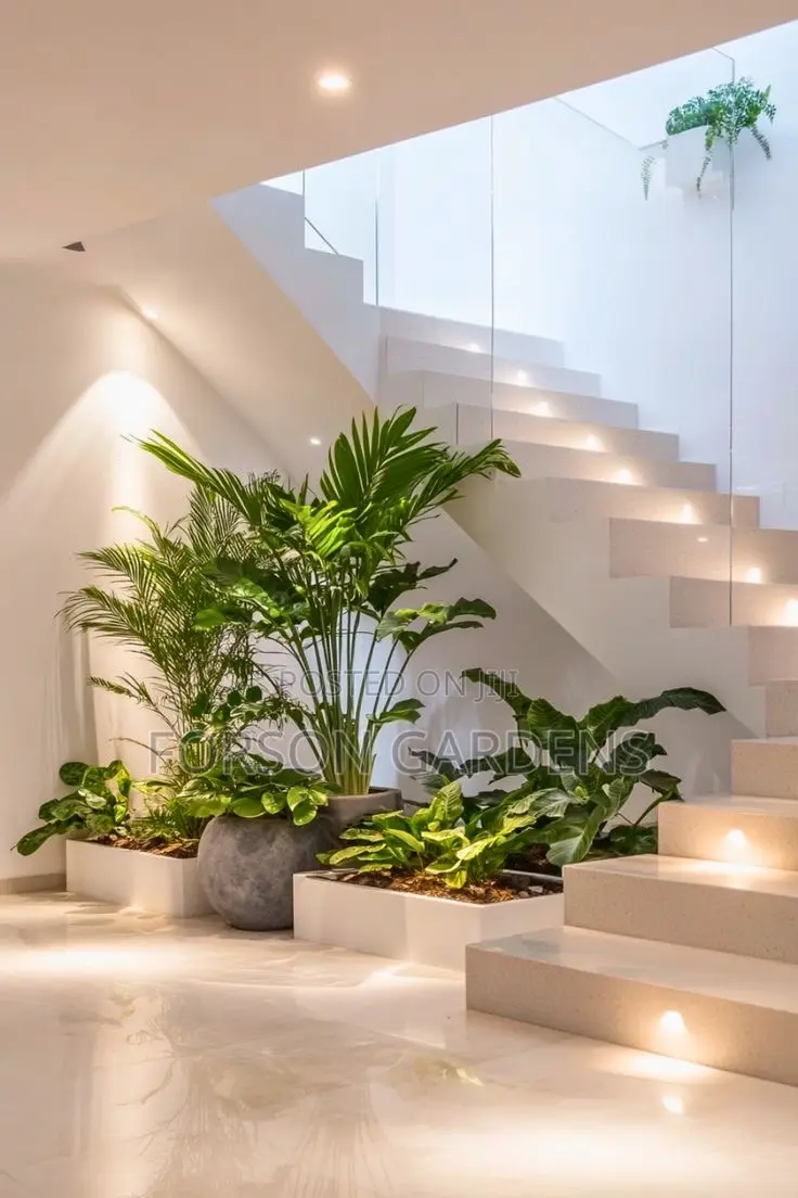 Plants for Your in and Outdoor Areas