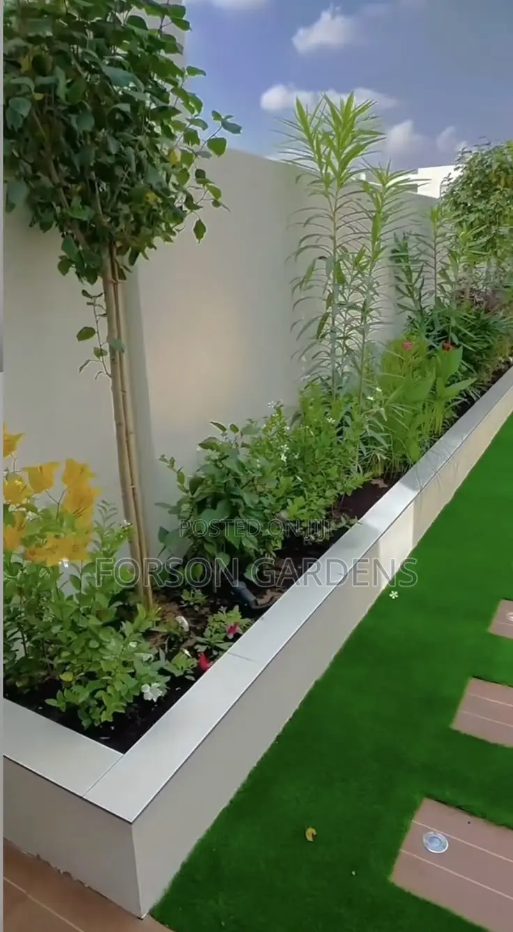 Plants for Your in and Outdoor Areas