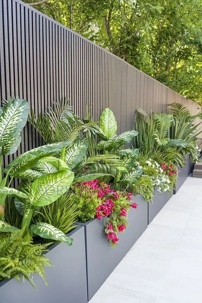 Plants for Your in and Outdoor Areas