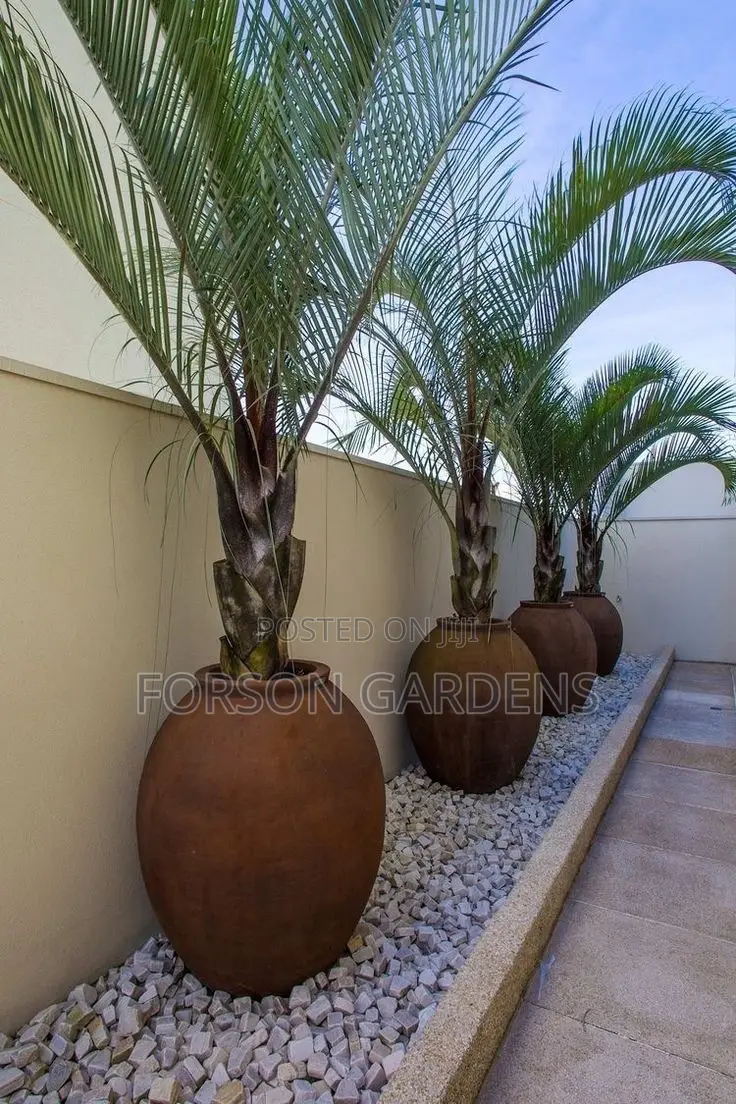 Plants for Your in and Outdoor Areas