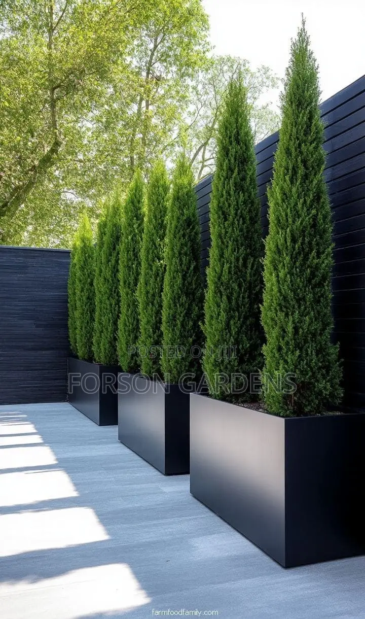Plants for Your in and Outdoor Areas