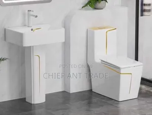 Toilet Seat Wc Water Closet With Basin