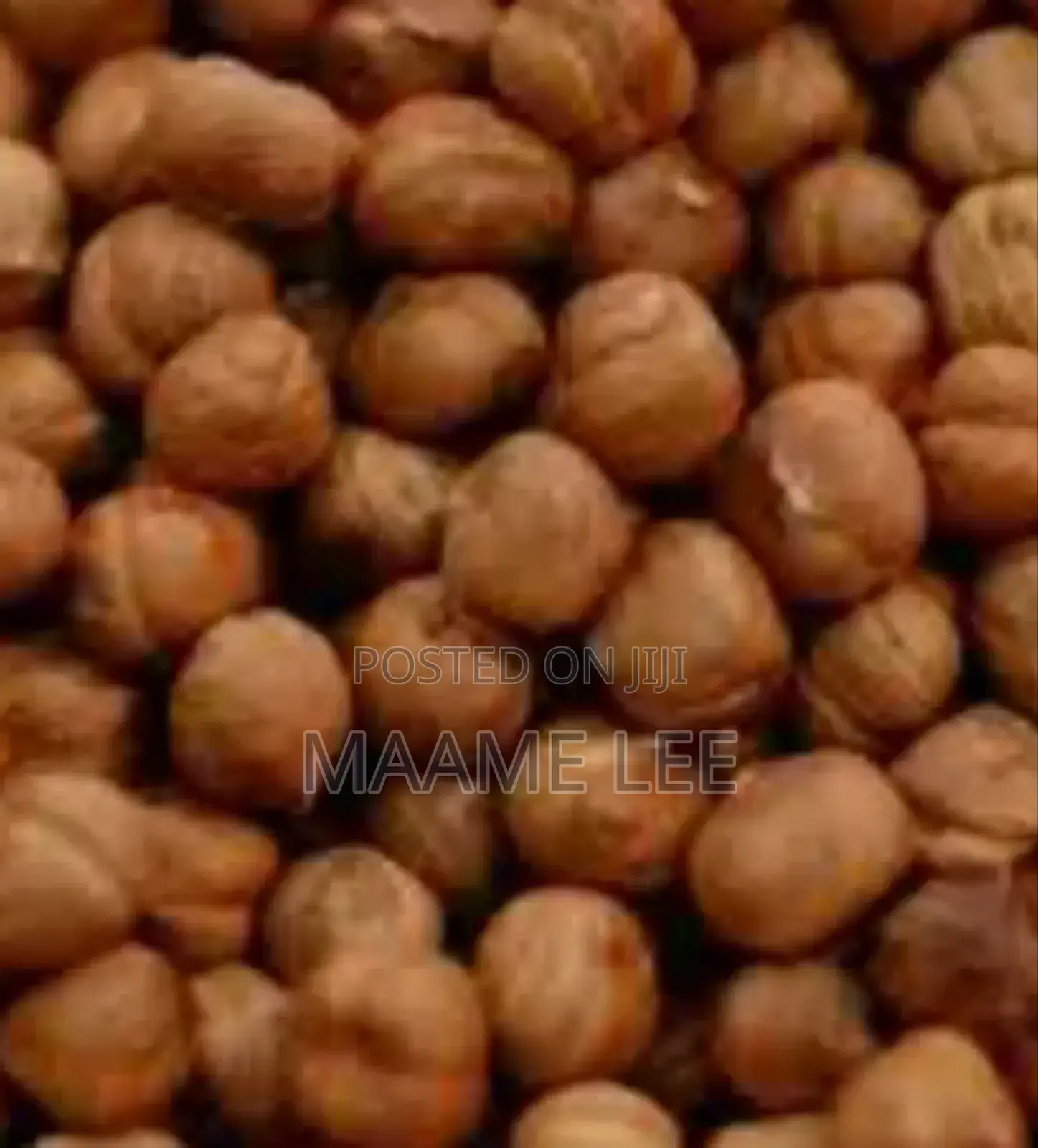 Organic Hazel Nut