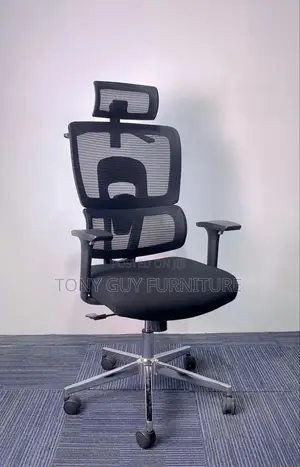 Mesh Manager Chair