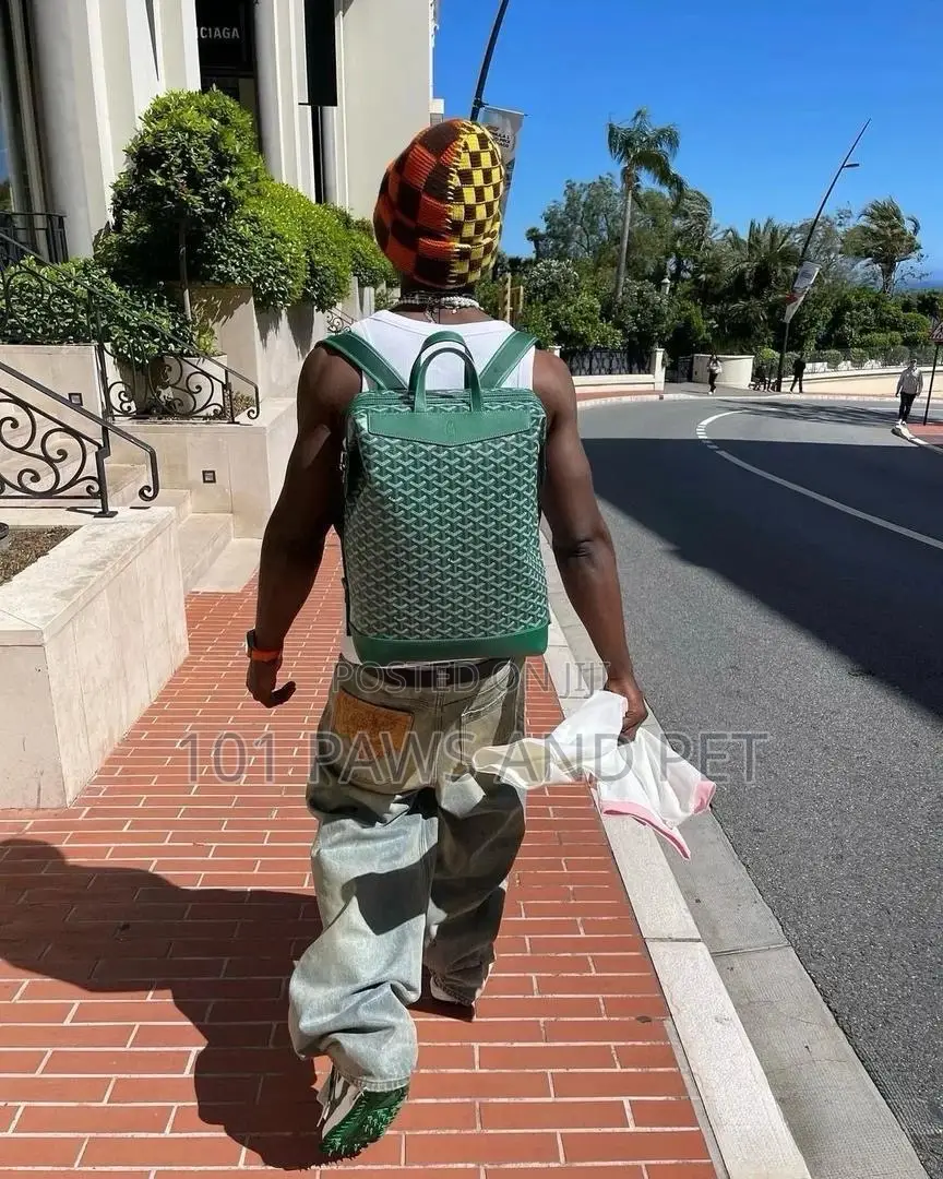 Green Goyard Backpack 