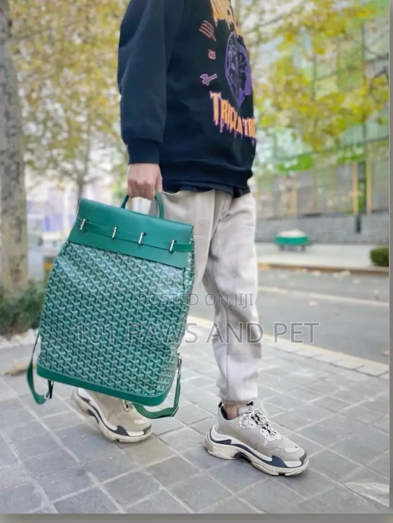 Green Goyard Backpack 