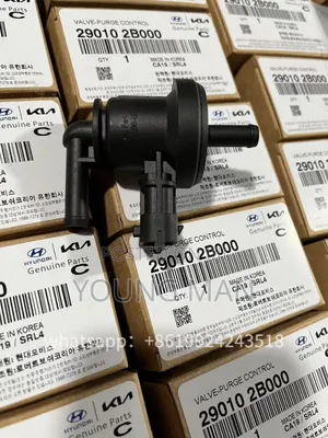 Hyundai Elanta, Acent, Sonata, Santafe Petch Valve