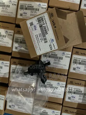 Hyundai Elanta, Acent, Sonata, Santafe Petch Valve
