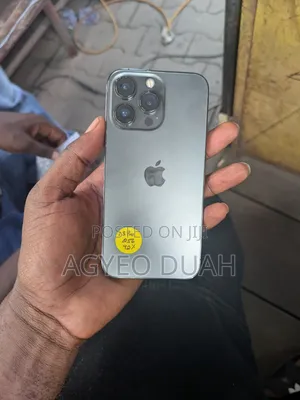 Apple iPhone 13 Pro 256 GB Gray