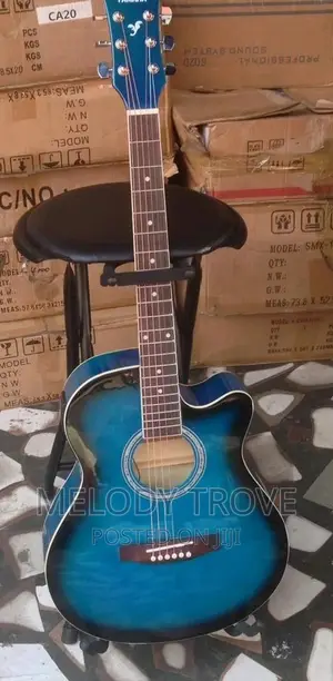 Photo - Acoustic Guitar for Sale