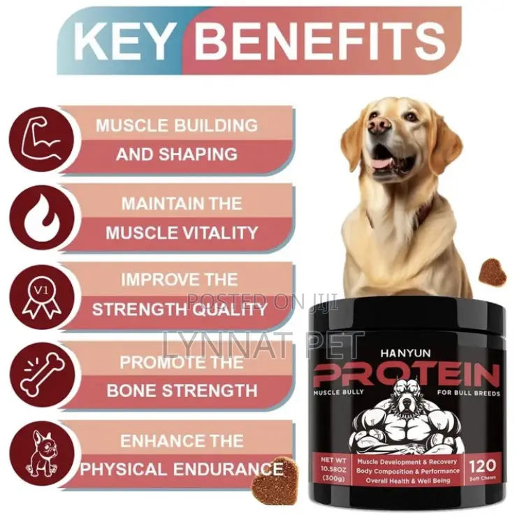 Muscle Protein for Dogs