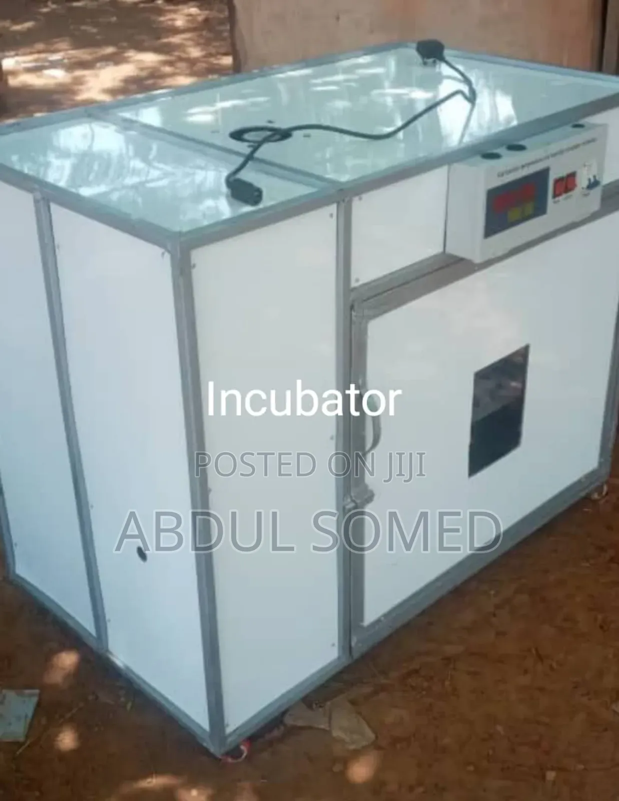Iincubator