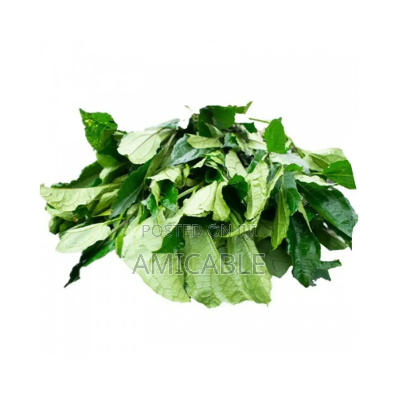 Ugu (Pumpkin) Leaf