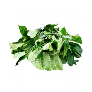 Ugu (Pumpkin) Leaf
