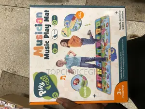 Musician Music Play Mate