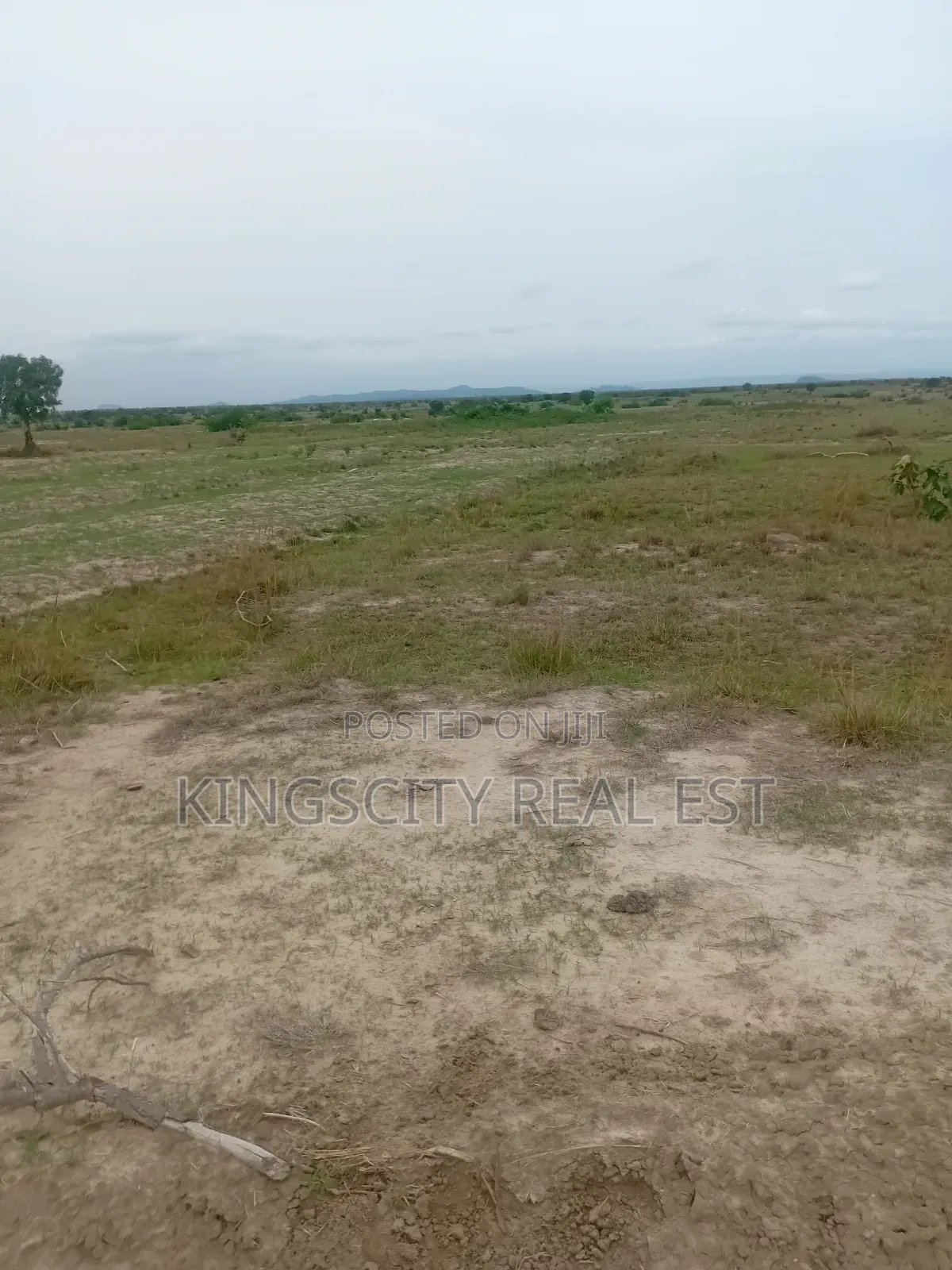 Quick Sale Estate Lands for Sale at Tsopoli