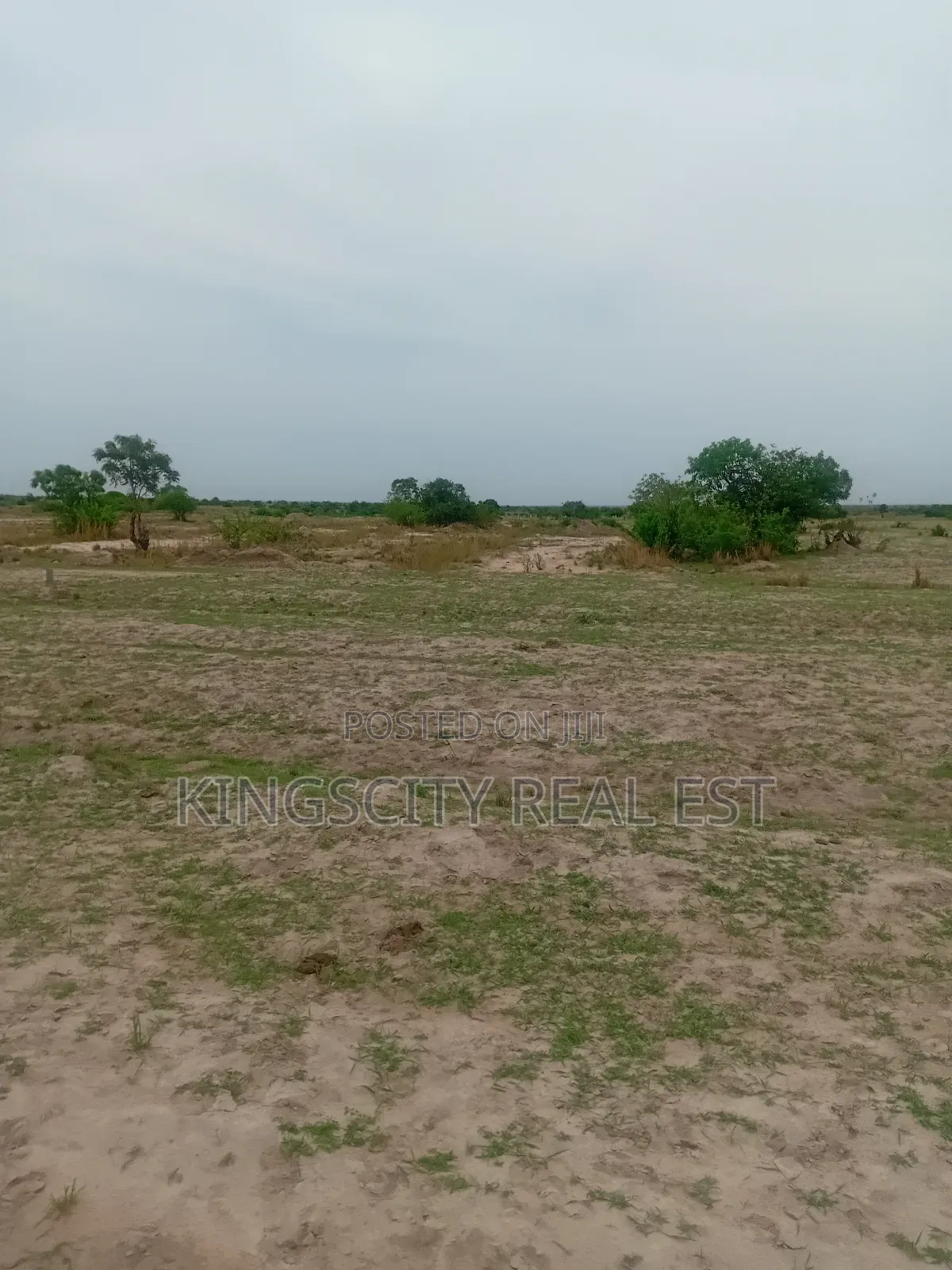 Quick Sale Estate Lands for Sale at Tsopoli