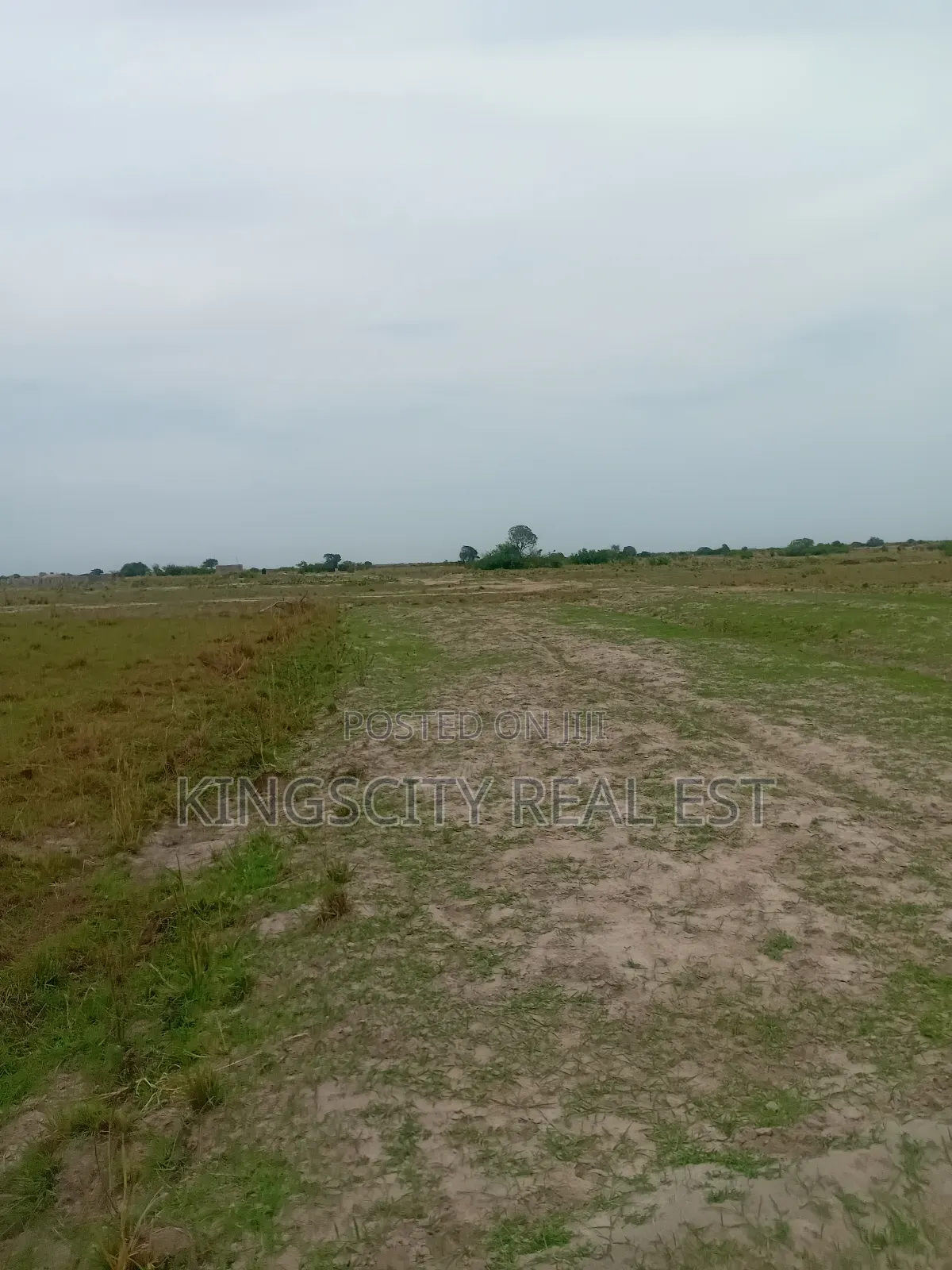 Super Affordable Lands for Sale at Tsopoli