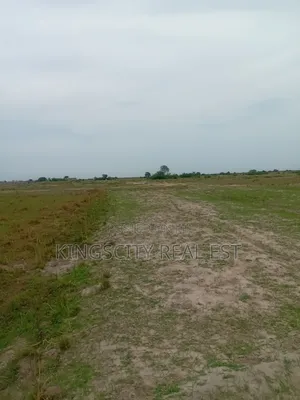 Super Affordable Lands for Sale at Tsopoli