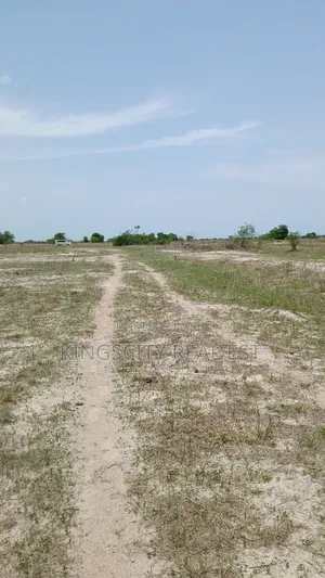 Good Road Lands for Sale at Tsopoli
