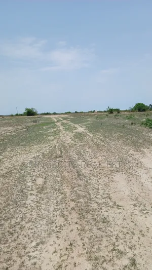 Semi Serviced and Registered Land for Sale at Tsopoli