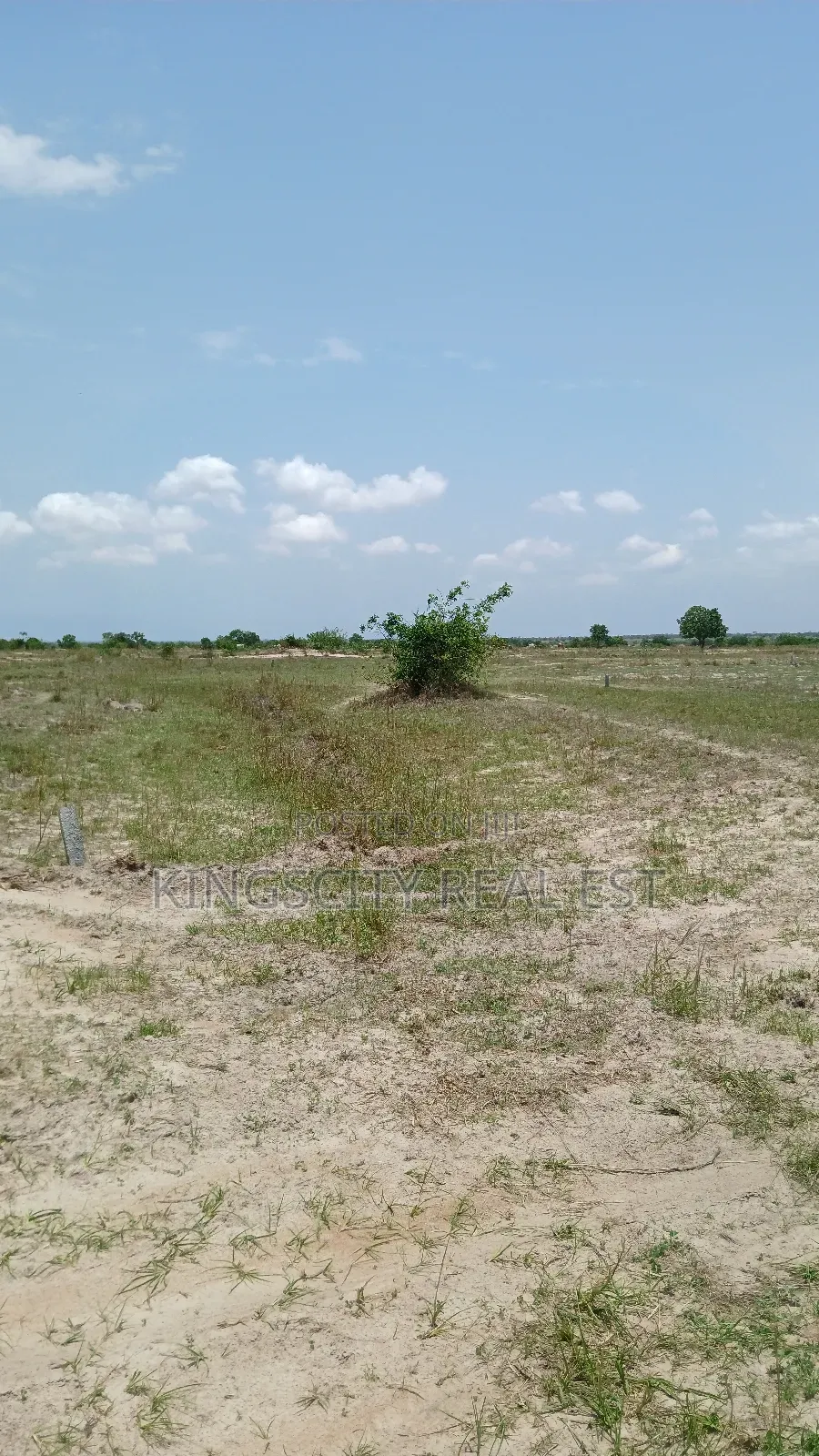 Reduced Promo Lands for Sale at Tsopoli
