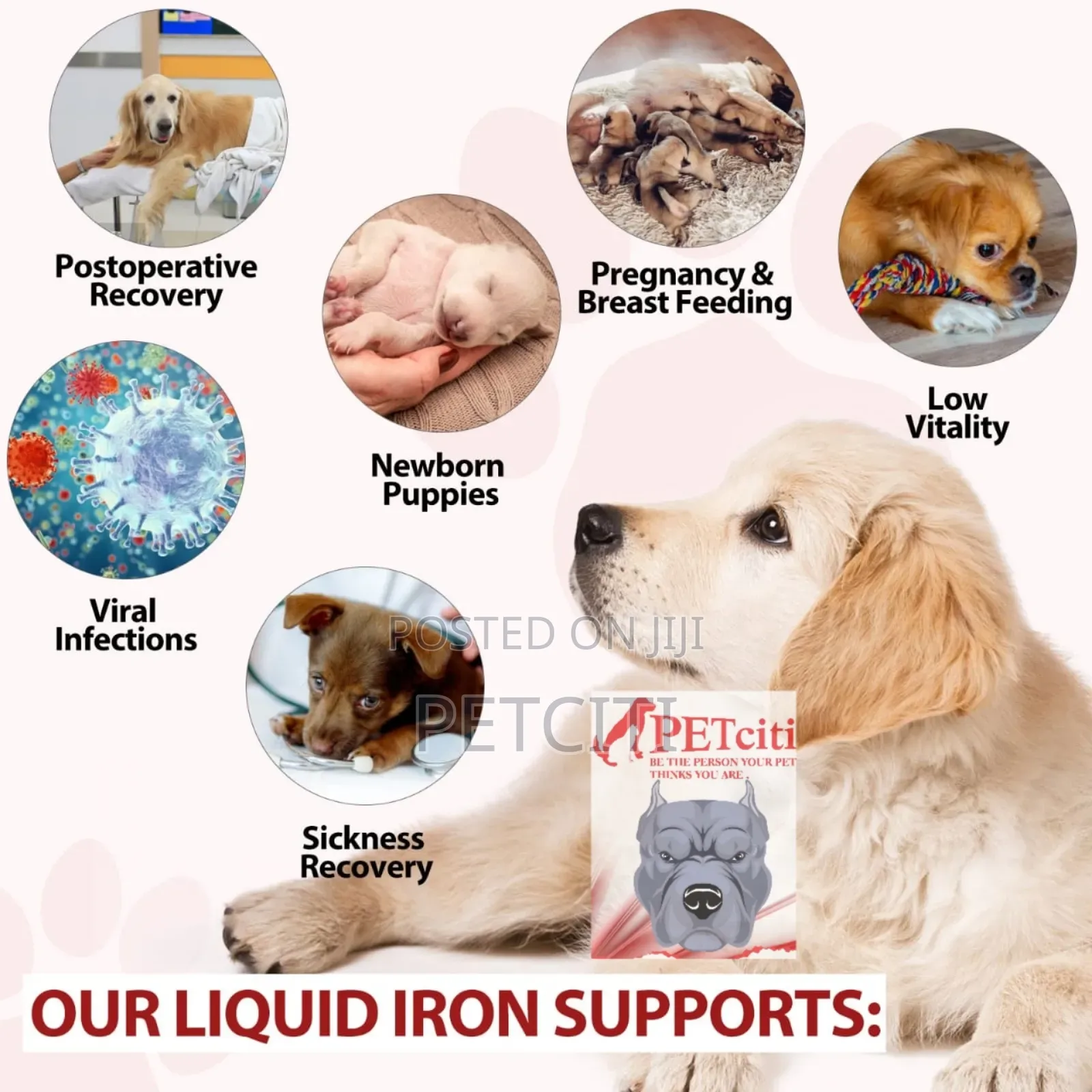 Dog Iron Supplement 60ml