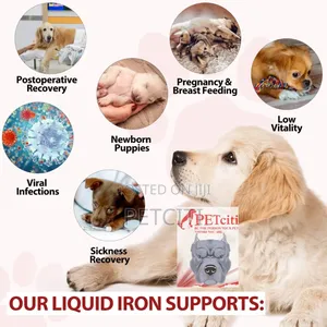 Dog Iron Supplement 60ml