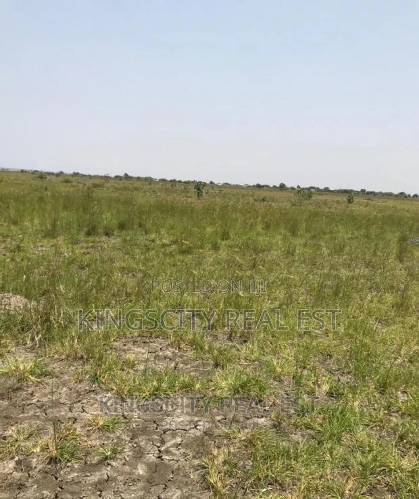 Free Documented Land for Sale at Tsopoli