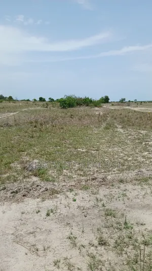 Free Documented Land for Sale at Tsopoli