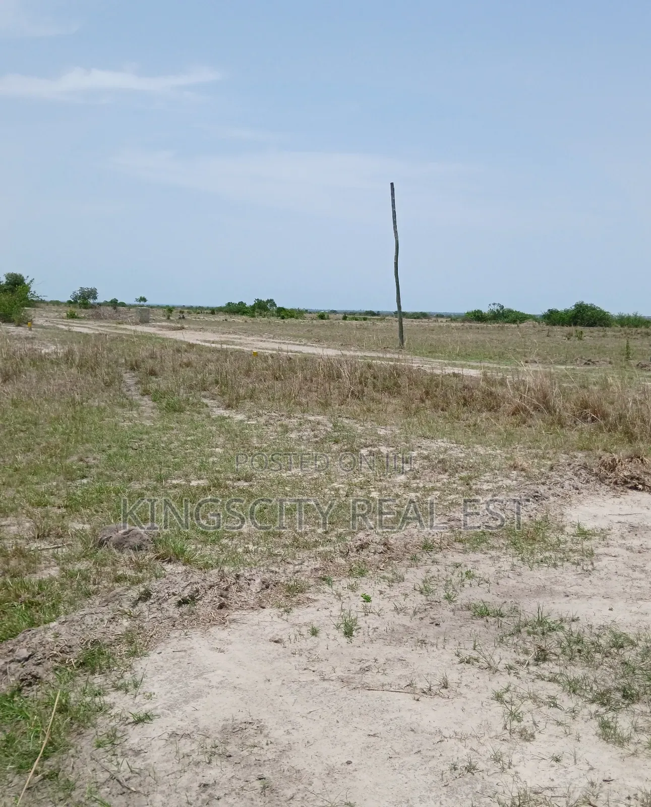 Well Structured Community Land at Tsopoli for Sale
