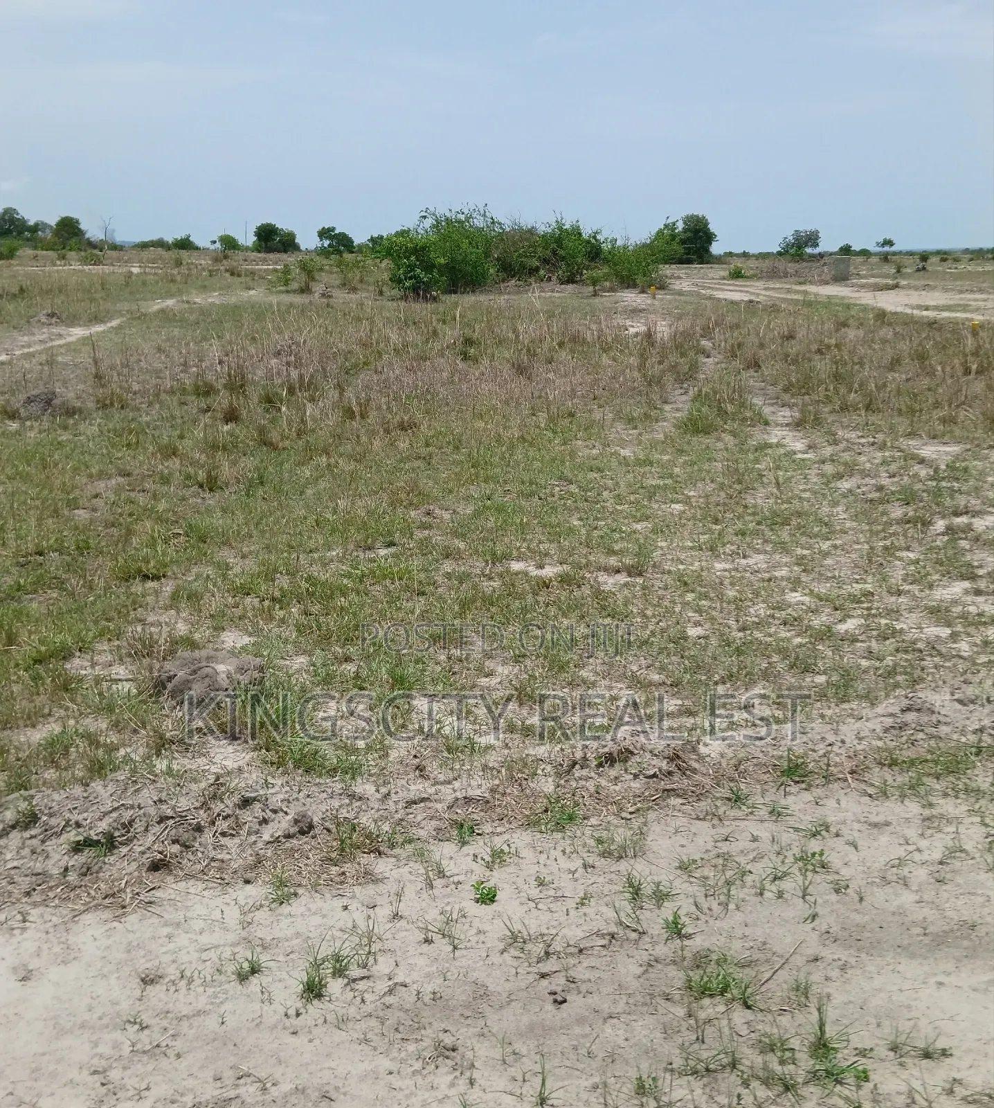 Well Structured Community Land at Tsopoli for Sale