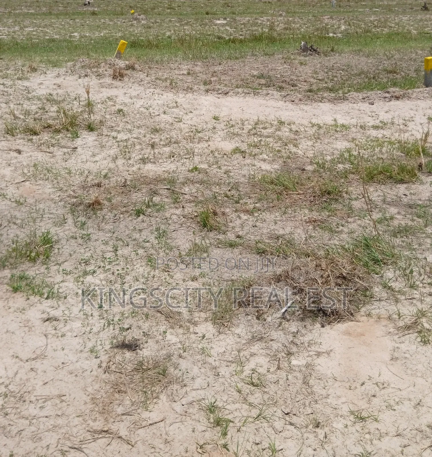 Well Structured Community Land at Tsopoli for Sale