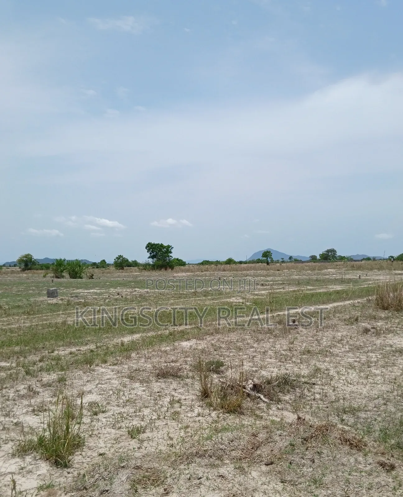 Plain Land for Sale at Tsopoli