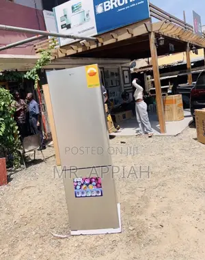 Extremely ChillingPearl 2 Door Refrigerator(Pf 406b-2b)Gray