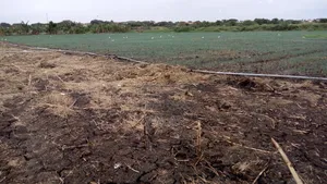 Farm Lands For Long Lease And Sale
