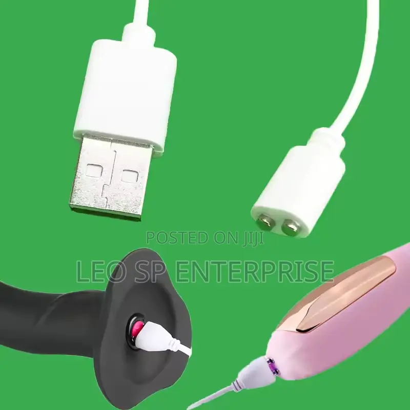 Magnetic Vibrator Charger
