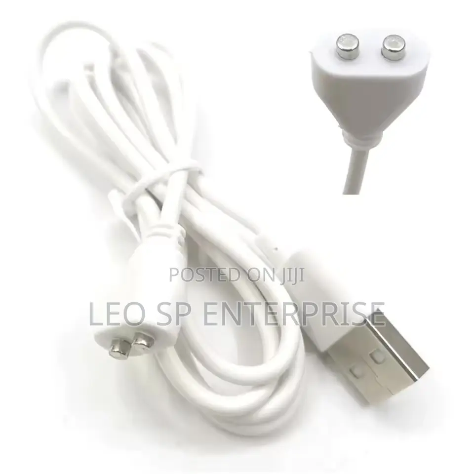 Magnetic Vibrator Charger