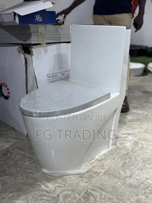 Combined Water Closet - Water Closet