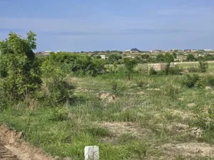 Plots Demarcated Nicely at Afienya -Shai Hills