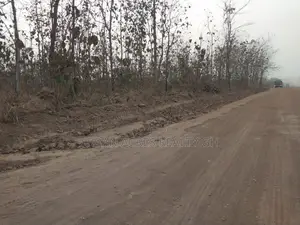 Volta Regn - Hohoe, (Fodome Road) _ 12 Plots Commercial Land