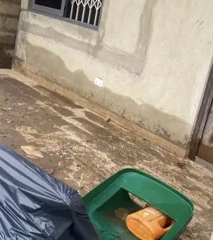 Floor and Tiles Cleaning