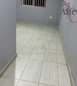 Washroom Tiles Deep Cleaning