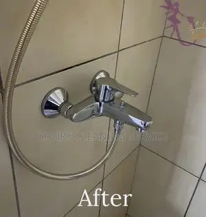 Washroom Tiles Deep Cleaning