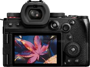 Panasonic Lumix Gh5 Ii Mirrorless Camera With 12-60mm Lens